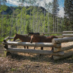 Photo By Phyllis Burchett to order prints, <a href="http://phyllisburchettphoto.net/">click here</a>
