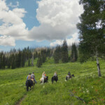 Photo By Phyllis Burchett to order prints, <a href="http://phyllisburchettphoto.net/">click here</a>