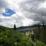 Photo By Phyllis Burchett to order prints, <a href="http://phyllisburchettphoto.net/">click here</a>