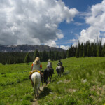 Photo By Phyllis Burchett to order prints, <a href="http://phyllisburchettphoto.net/">click here</a>