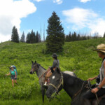 Photo By Phyllis Burchett to order prints, <a href="http://phyllisburchettphoto.net/">click here</a>