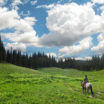 Photo By Phyllis Burchett to order prints, <a href="http://phyllisburchettphoto.net/">click here</a>