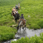 Photo By Phyllis Burchett to order prints, <a href="http://phyllisburchettphoto.net/">click here</a>