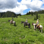 Photo By Phyllis Burchett to order prints, <a href="http://phyllisburchettphoto.net/">click here</a>