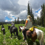 Photo By Phyllis Burchett to order prints, <a href="http://phyllisburchettphoto.net/">click here</a>