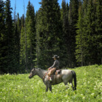 Photo By Phyllis Burchett to order prints, <a href="http://phyllisburchettphoto.net/">click here</a>