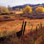 Photo Credit - John Fielder