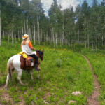 Photo By Phyllis Burchett to order prints, <a href="http://phyllisburchettphoto.net/">click here</a>