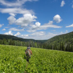 Photo By Phyllis Burchett to order prints, <a href="http://phyllisburchettphoto.net/">click here</a>