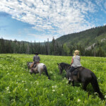 Photo By Phyllis Burchett to order prints, <a href="http://phyllisburchettphoto.net/">click here</a>