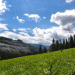 Photo By Phyllis Burchett to order prints, <a href="http://phyllisburchettphoto.net/">click here</a>