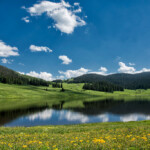 Photo By Phyllis Burchett to order prints, <a href="http://phyllisburchettphoto.net/">click here</a>