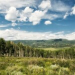 Photo By Phyllis Burchett to order prints, <a href="http://phyllisburchettphoto.net/">click here</a>