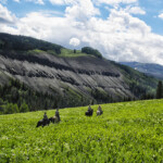 Photo By Phyllis Burchett to order prints, <a href="http://phyllisburchettphoto.net/">click here</a>