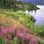 Photo By <a href="https://www.johnfielder.com/">John Fielder</a>