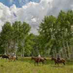 Photo By Phyllis Burchett to order prints, <a href="http://phyllisburchettphoto.net/">click here</a>