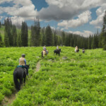 Photo By Phyllis Burchett to order prints, <a href="http://phyllisburchettphoto.net/">click here</a>