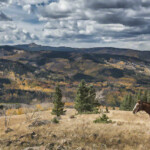 Photo Credit - Phillys Burchett