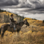 Photo Credit - Phillys Burchett