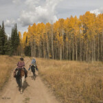 Photo Credit - Phillys Burchett